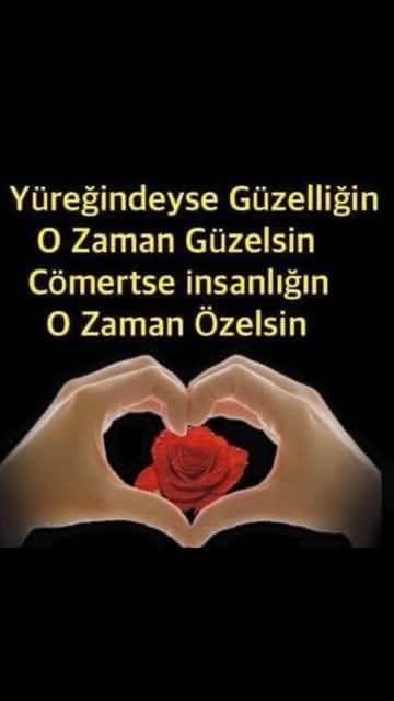 sangelic