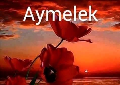 sAymelek__